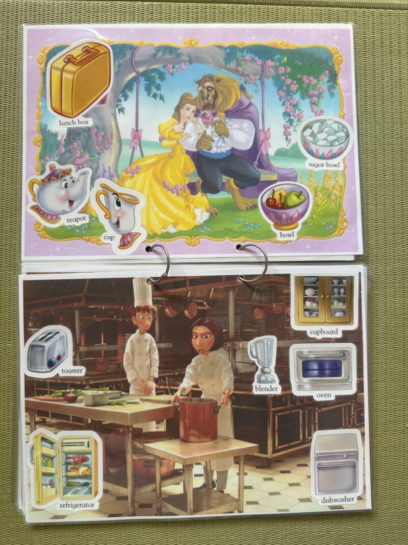 My big book of words sticker book